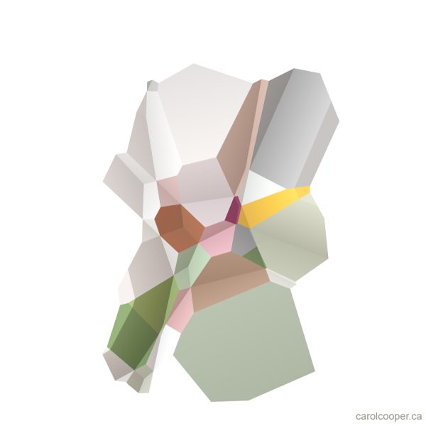 Carol Cooper Geometric Abstraction 2026084 Serie Poly-géométriques