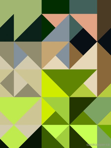 Geometric Absteraction